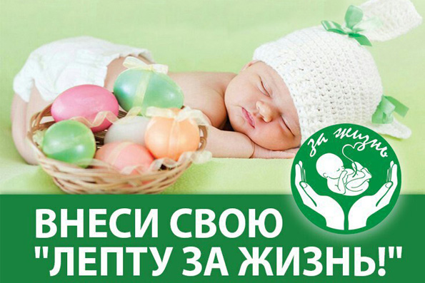 Татарстанская митрополия принимает участие в марафоне на миллион подписей против абортов