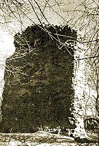 Остатки стен Алексеевского храма