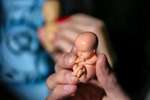 Четвертый год подряд основной причиной смерти в мире стали аборты