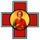 В Казанской духовной семинарии будет преподаваться курс Пастырской медицины.