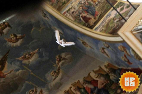 Белый голубь – символ мира предвосхитил первый молебен нового Предстоятеля УПЦ
