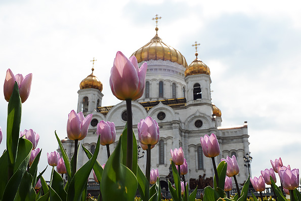 Утвержден состав своей делегации Русской Православной Церкви на Всеправославный Собор