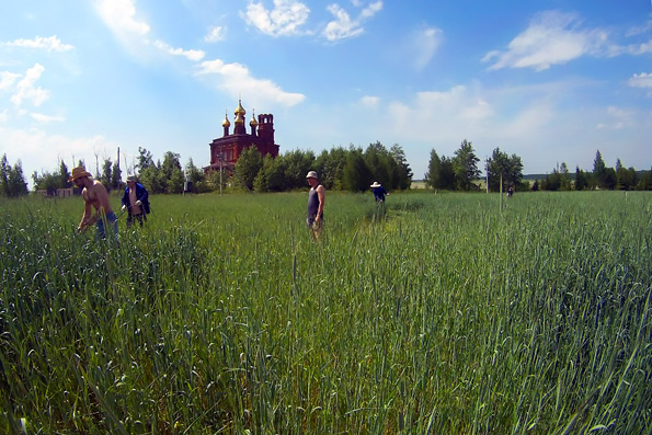 Православная молодежь Набережных Челнов учится земледелию