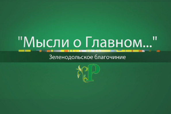 В Зеленодольском благочинии стартовал православный литературный конкурс «Мысли о главном…»