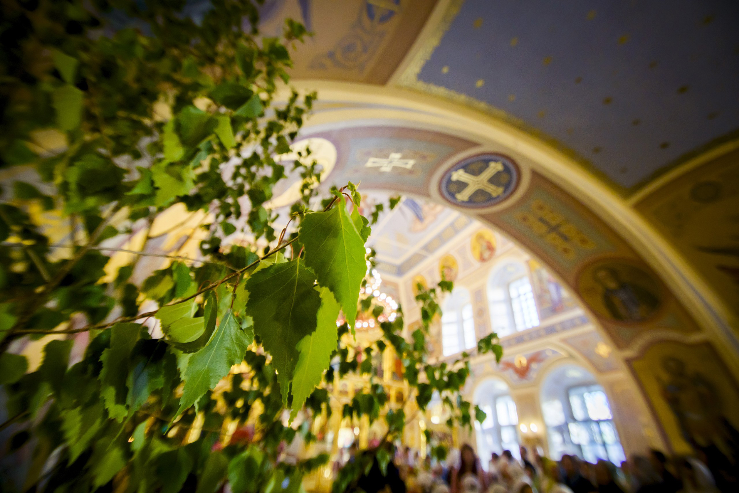 Троицкая зелень в Духосошественском храме Казани