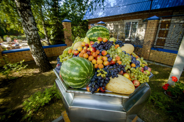 В Казани стартовала акция по сбору осенних плодов для казанского детского хосписа