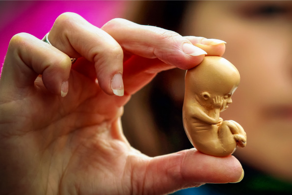 В Церкви вынесен на общественное обсуждение проект документа «О неприкосновенности жизни человека с момента зачатия»