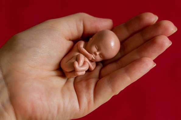 Митрополит Иларион: «Жизнь человека должна защищаться еще на стадии эмбриона»