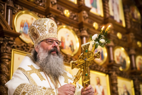 Анонс богослужений митрополита Кирилла 27-31 января