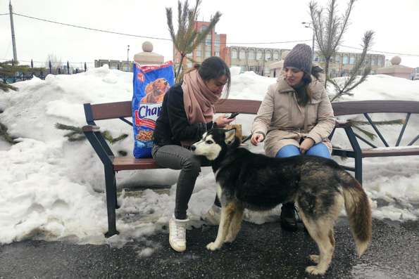 В Серафимовском храме Казани прошла благотворительная акция в поддержку приюта для животных